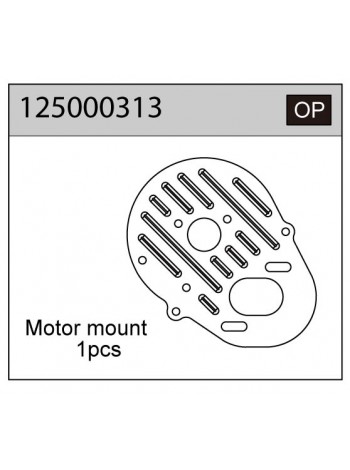 125000313